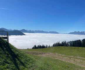 Jugendtrainer Laterns35.jpg