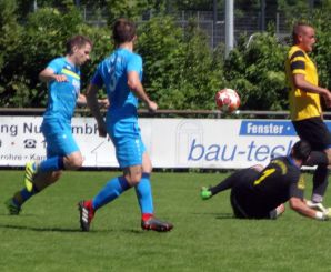 Laupertshausen20.jpg