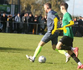 Ringschnait - FCW2.jpg