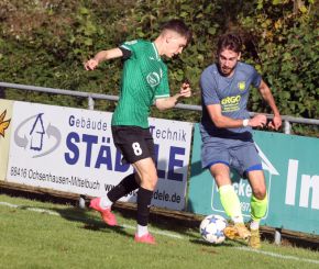 Ringschnait - FCW33.jpg