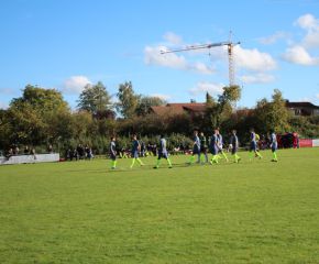 SGM RIngschnait - FCW1.jpg