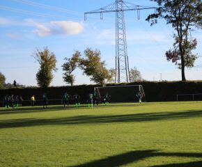 SGM RIngschnait - FCW106.jpg