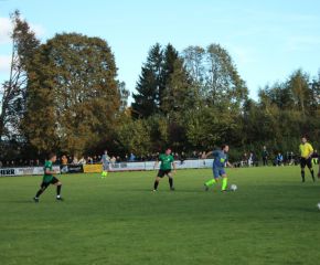 SGM RIngschnait - FCW34.jpg
