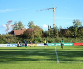 SGM RIngschnait - FCW76.jpg