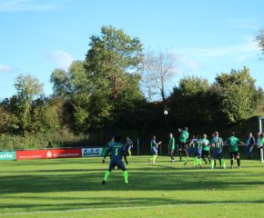 SGM RIngschnait - FCW93.jpg