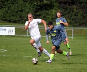 Schussenried II - FCW36.jpg