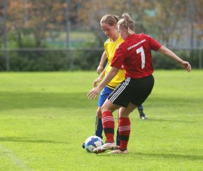 fCW - SGM Dettingen14.jpg