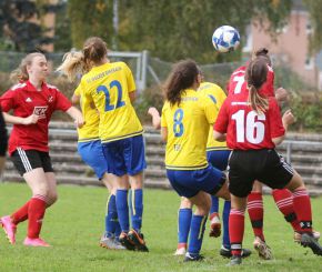 fCW - SGM Dettingen16.jpg