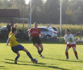 Baltringen - FCW12.jpg