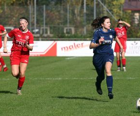 Baltringen - FCW17.jpg