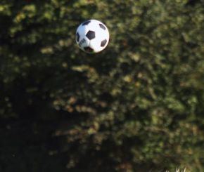 Baltringen - FCW31.jpg