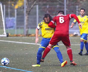 FCW II - Detingen II10.jpg