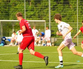 FCW- TSV TT66.jpg