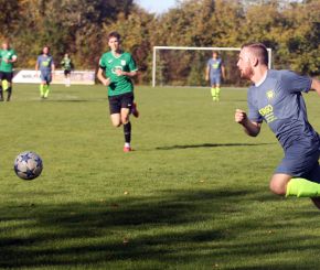 Ringschnait - FCW21.jpg