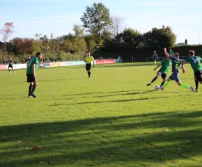 SGM RIngschnait - FCW103.jpg