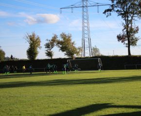 SGM RIngschnait - FCW105.jpg
