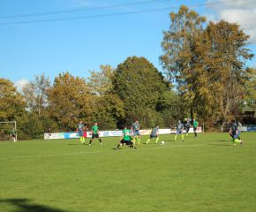 SGM RIngschnait - FCW17.jpg