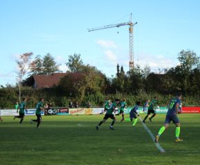 SGM RIngschnait - FCW37.jpg