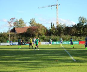 SGM RIngschnait - FCW48.jpg