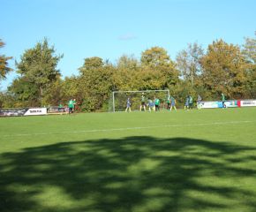 SGM RIngschnait - FCW59.jpg